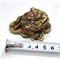 Жаба на монетах (KL-9) феншуйная - фото 225946