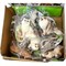 Фигурки кошек из твердой пластмассы 12 шт/упаковка - фото 226772