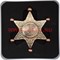 Спиннер «Звезда Шерифа» металлический - фото 49046