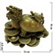 Бронза, Черепаха Дракон с Черепашкой - фото 50115