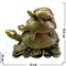 Бронза, Три Черепахи - фото 50152