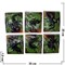 Лизуны животные и насекомые 9 видов, цвет черный (60 шт/уп, 720 шт/кор) - фото 50724