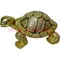 Шкатулка со стразами "Черепаха 13 см" - фото 57353