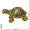 Шкатулка со стразами "Черепаха 13 см" - фото 57354