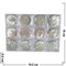 Набор монет "Императоры Китая" 40 мм, цена за 12 шт - фото 63443