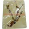 Набор: Колье и серьги из натур.янтаря мелкие камни - фото 66040