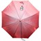 Зонт детский оптом трость 95 см 12 цветов (DW-4080) цена за 12 шт - фото 68923