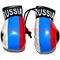 Перчатки боксерские в цветах российского флага (подвеска) цена за пару - фото 72092