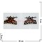 Заколка "краб" тигровый 2 цвета (KR-824) цена за 12 шт - фото 74188