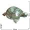 Черепаха 25 см, оникс (10 дюймов) - фото 80463