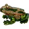Шкатулка со стразами "Зеленая жабка" - фото 85353