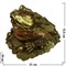 Жаба Феншуй из бронзы большая 21 см - фото 85593