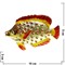 Шкатулка со стразами "Рыба с красными стразами" - фото 85974