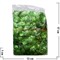 Пайетки "ракушки" ярко-зеленые цена за уп из 100 гр - фото 95990